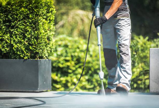 Best House Exterior Washing  in Shelbina, MO