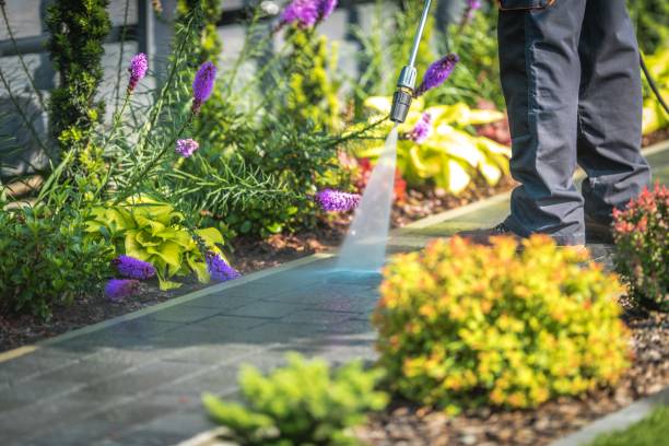 Best Post-Construction Pressure Washing  in Shelbina, MO